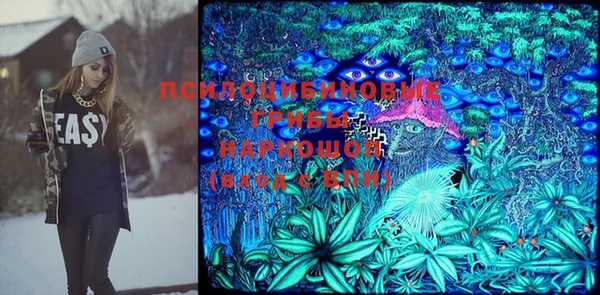 хмурый Богданович