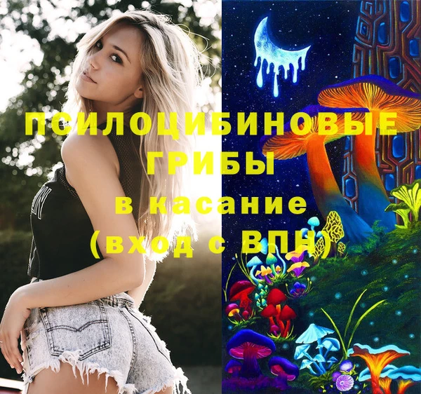 герыч Богородск