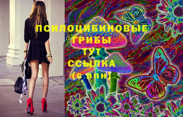 хмурый Богданович